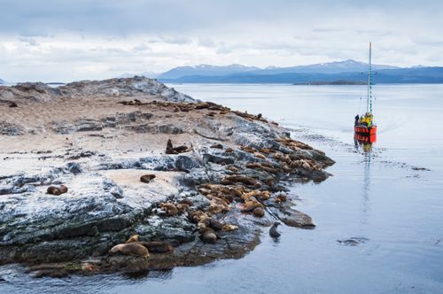 Argentina Travel Landscape Photography Beagle Channel sailing boat observing Sea Lion colony Ushuaia Tierra Del Fuego Patagonia Argentina South America