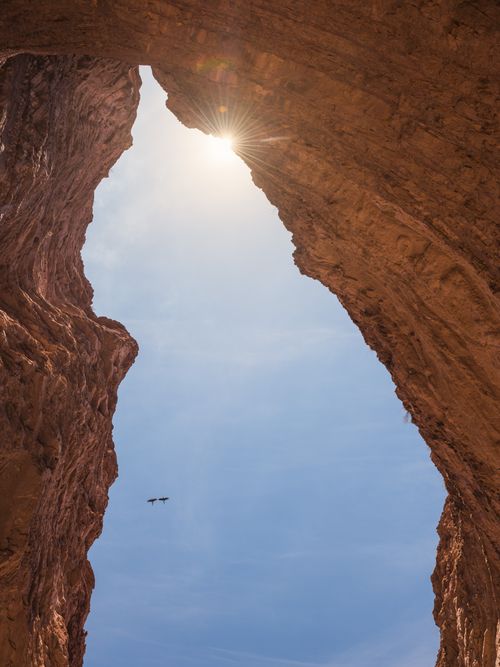 Argentina Travel Landscape Photography Burrowing Parrots Cyanoliseus patagonus at the amphitheatre at Quebrada de Cafayate aka Quebrada de las Conchas and Cafayate Gorge Salta Province North Argentina South America