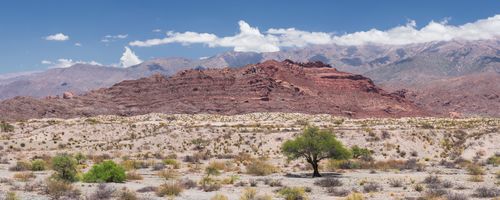 Argentina Travel Landscape Photography Cachi Valley Gorge Calchaqui Valleys Salta Province North Argentina South America