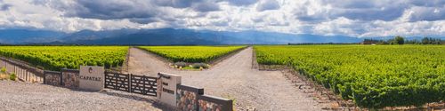 Argentina Travel Landscape Photography Capataz Vineyards Uco Valley Valle de Uco a wine region in Mendoza Province Argentina South America
