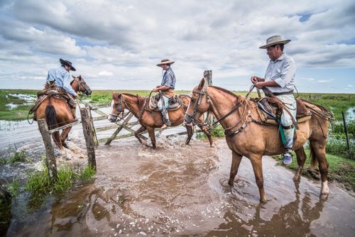Argentina Travel Landscape Photography Gauchos on a traditional Argentinian cattle farm Estancia San Juan de Poriahu Ibera Wetlands Corrientes Province Argentina South America