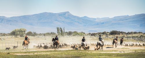 Argentina Travel Landscape Photography Gauchos riding horses to round up sheep El Chalten Patagonia Argentina South America