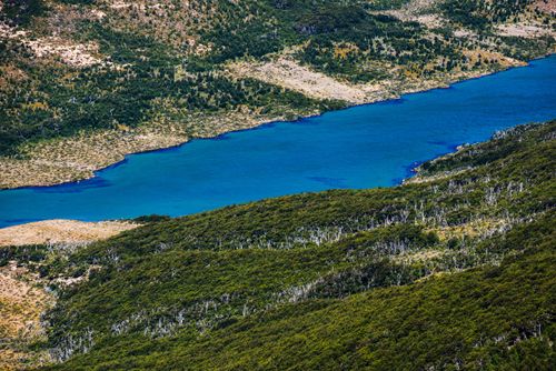 Argentina Travel Landscape Photography Madre Lake Lago Madre and alpine forest landscape in Los Glaciares National Park El Chalten Patagonia Argentina South America