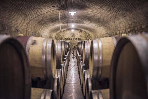 Argentina Travel Landscape Photography Oak wine barrels for fermenting wine at Bodega Alta Vista a winery in the Chacras de Coria area of Mendoza Mendoza Province Argentina South America