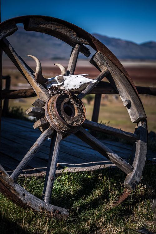 Argentina Travel Landscape Photography Old horse and cart wheel on an estancia at El Calafate Patagonia Argentina South America