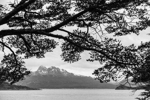Argentina Travel Landscape Photography Tierra Del Fuego National Park Ushuaia Patagonia Argentina South America