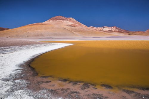 Bolivia Travel Landscape Photography Laguna Hedionda surrounded by salt in the Altiplano of Bolivia South America
