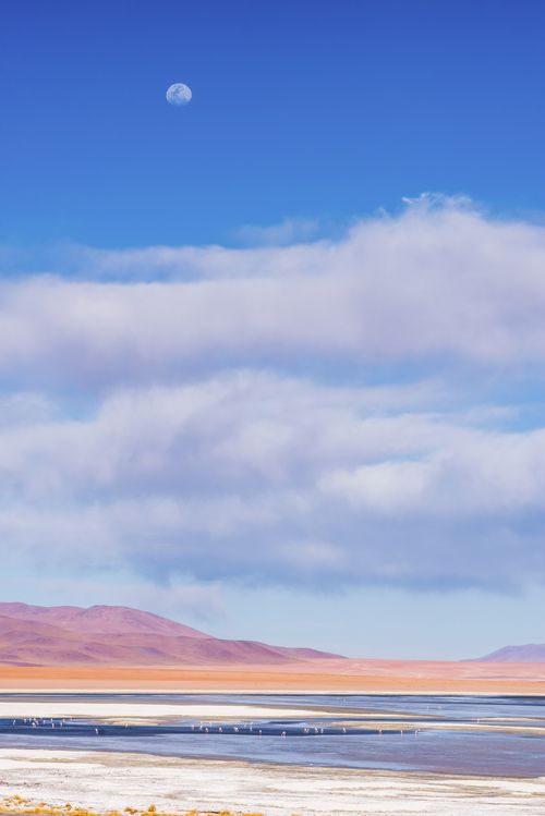 Bolivia Travel Landscape Photography Moon rising over Salar de Chalviri Altiplano of Bolivia in Eduardo Avaroa National Reserve of Andean Fauna South America