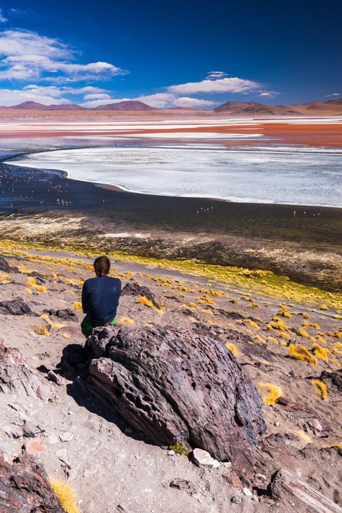 Bolivia Travel Landscape Photography Tourist at Laguna Colorada Red Lagoon a salt lake in the Altiplano of Bolivia in Eduardo Avaroa Andean Fauna National Reserve South America