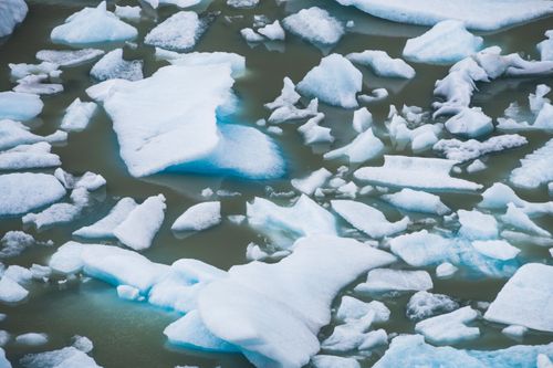 Chile Travel Landscape Photography Icebergs from Grey Glacier Glaciar Grey Torres del Paine National Park Patagonia Chile South America