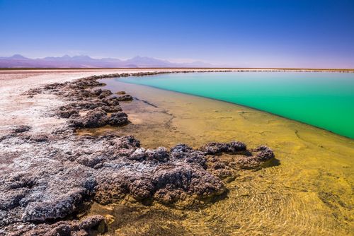 Chile Travel Landscape Photography Laguna Cejar aka floating salt lake lagoon Atacama Desert North Chile South America