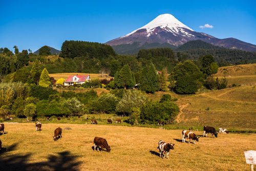 Chile Travel Landscape Photography Osorno Volcano and farm land Chilean Lake District Chile South America