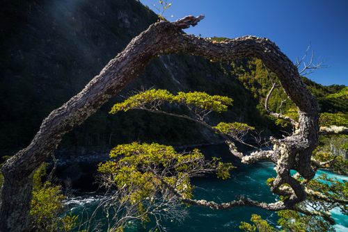 Chile Travel Landscape Photography Petrohue Falls Vicente Perez Rosales National Park Chilean Lake District Chile South America