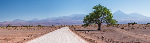 Chile Travel Landscape Photography Road from San Pedro de Atacama to Cejar Lake aka floating salt lake or Laguna Cejar Atacama Desert North Chile South America
