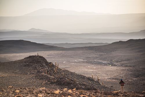 Chile Travel Landscape Photography Trekking at sunset in Cactus Valley Los Cardones Ravine Atacama Desert North Chile South America