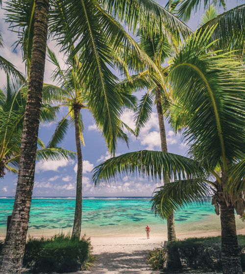 Cook Islands Landscape Travel Photography Beachfront at Royale Takitumu Luxury Villas Titikaveka Rarotonga Cook Islands South Pacific Ocean 2