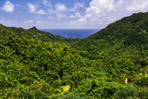 Cook Islands Landscape Travel Photography Inner Rarotonga Cook Islands 2