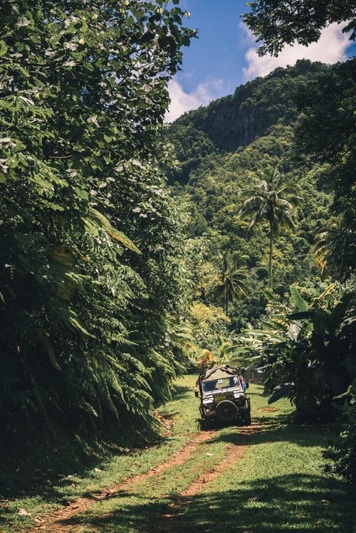 Cook Islands Landscape Travel Photography Raro Mountain Safari Tours a 4 WD tour of Rarotonga Cook Islands