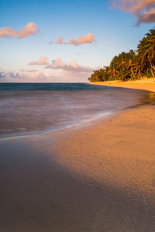 Cook Islands Landscape Travel Photography Tropical beach with palm trees at sunrise Rarotonga Cook Islands background with copy space
