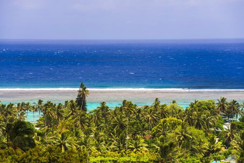 Cook Islands Landscape Travel Photography Tropical palm tree jungle with blue Pacific Ocean behind at Rarotonga Cook Islands South Pacific Ocean