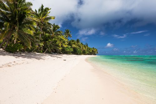 Cook Islands Landscape Travel Photography White sandy beach and palm trees on tropical Rarotonga Island Cook Islands 2