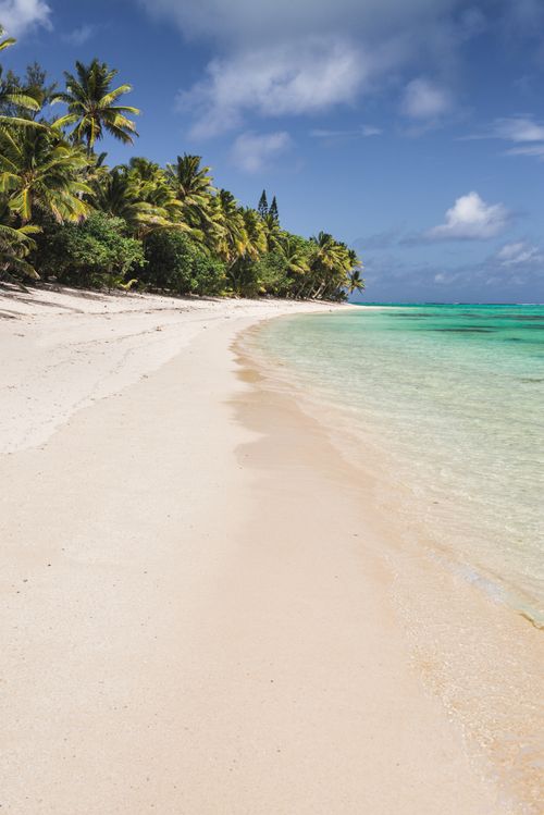 Cook Islands Landscape Travel Photography White sandy beach and palm trees on tropical Rarotonga Island Cook Islands