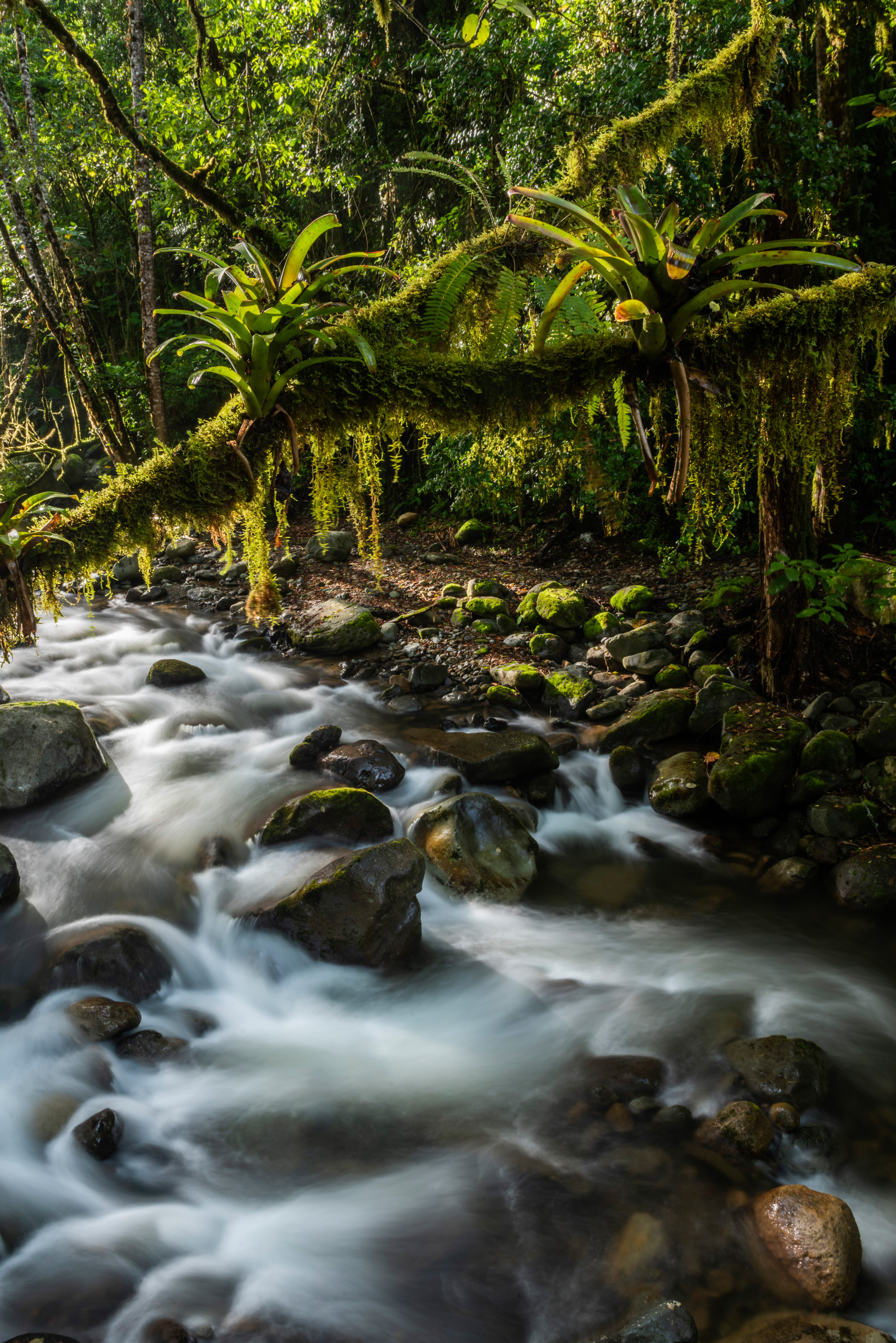 Costa Rica Landscape Photography Savegre River Rio Savegre San Gerardo de Dota San Jose Province Costa Rica