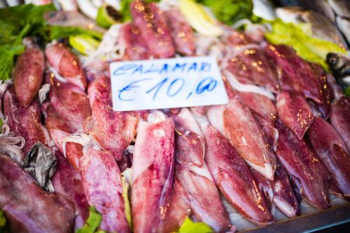 Italy Sicily Travel Photography Calamari for sale at Ortigia Market a popular place with locals for buying seafood Syracuse Siracusa Sicily Italy Europe