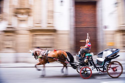 Italy Sicily Travel Photography Horse and cart ride in Palermo Old Town Sicily Italy Europe