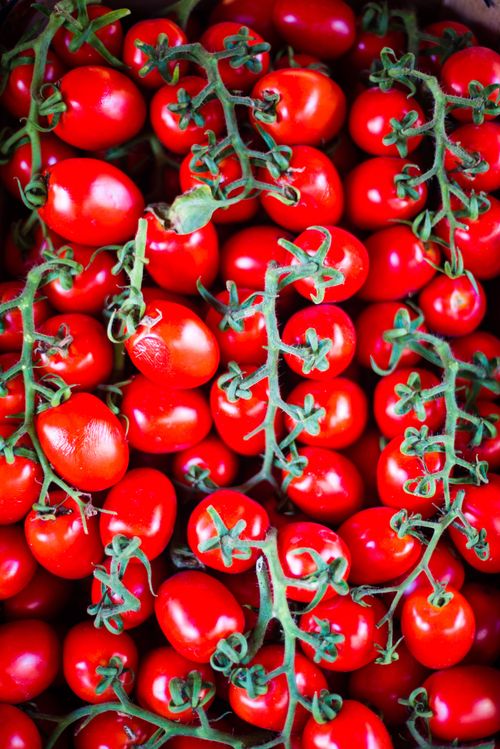 Italy Sicily Travel Photography Tomatoes at Ortigia Market Syracuse Siracusa Sicily Italy Europe