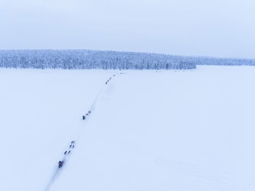 Lapland Finland Adventure Travel Photography Aerial of Husky dog sledding on a frozen snow covered lake into a winter forest landscape and trees in the Lapland landscape in a forest in Finland drone