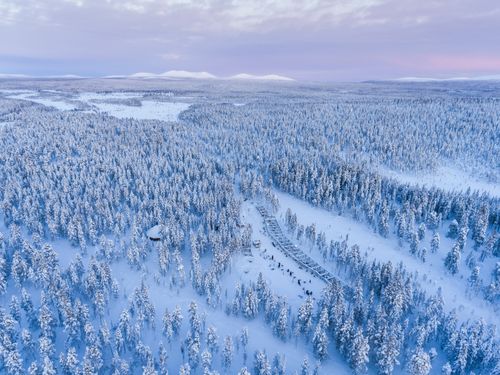 Lapland Finland Drone Landscape Photography Aerial photo of a snow covered winter forest full of trees at sunset in the Arctic Circle in Finnish Lapland Finland drone