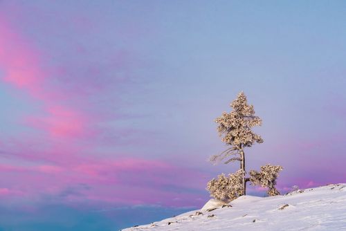 Lapland Finland Landscape Photography Snowy Lapland landscape Akaslompolo Finnish Lapland Finland 2