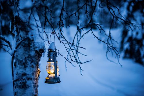 Lapland Finland Travel Photography Christmas glass lantern in a mysterious winter forest scenery Lapland Arctic Circle Finland
