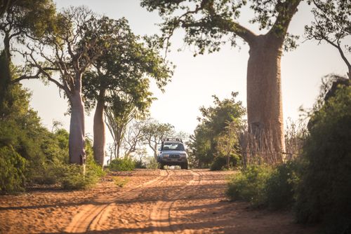 Madagascar Adventure Travel Photography 4wd driving through spiny forest at Ifaty South West Madagascar Africa