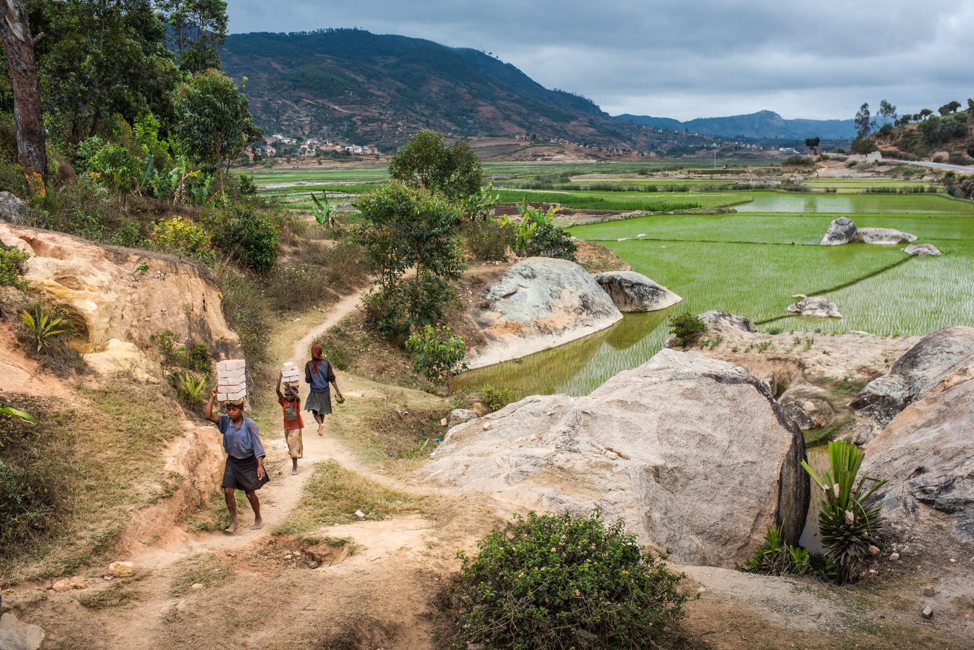 Madagascar Documentary Travel Photography Brick workers near Ranomafana Haute Matsiatra Region Madagascar 2