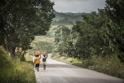 Madagascar Documentary Travel Photography Ladies carrying baskets on their heads near Antananarivo Antananarivo Province Eastern Madagascar