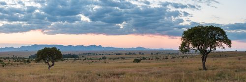 Madagascar Landscape Photography Isalo National Park at sunset Ihorombe Region Southwestern Madagascar