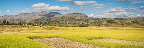Madagascar Landscape Photography Manandoana Valley rice paddy fields near Antsirabe Antananarivo Province Madagascar Central Highlands
