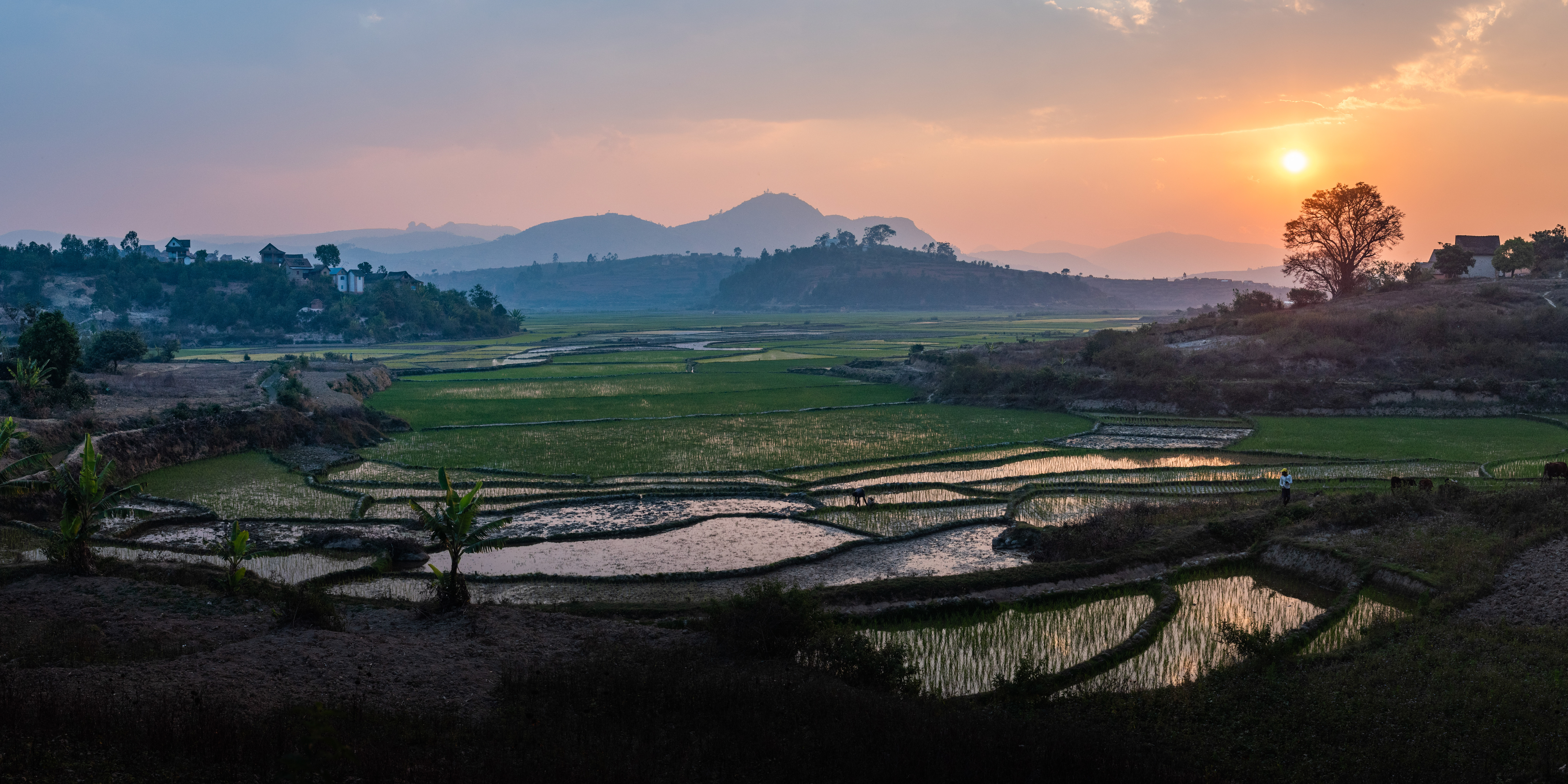 Madagascar Landscape Photography Rice paddy fields landscape at sunset near Ranomafana Haute Matsiatra Region Madagascar