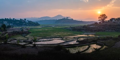 Madagascar Landscape Photography Rice paddy fields landscape at sunset near Ranomafana Haute Matsiatra Region Madagascar