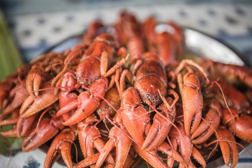 Madagascar Travel Photography Cray fish for sale in Ranomafana market Madagascar Central Highlands