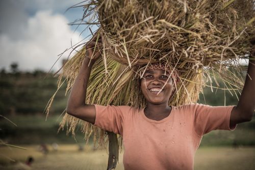 Madagascar Travel Portraiture Portrait Photography Portrait of a lady working in rice paddy fields near Ranomafana Madagascar Central Highlands