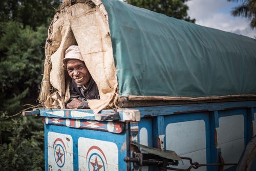 Madagascar Travel Portraiture Portrait Photography Zebu Ox drawn cart street scene near Antananarivo Antananarivo Province Eastern Madagascar