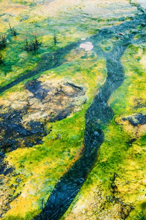New Zealand Nature Photography April 24th Abstract of Geothermal Activity at Orakei Korako North Island New Zealand