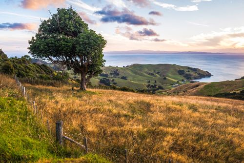 New Zealand Landscape Photography Countryside at Coromandel Town Coromandel Peninsula New Zealand North Island
