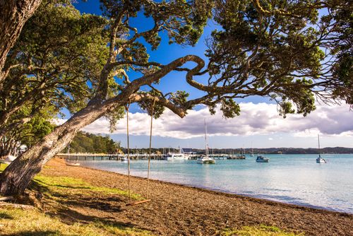 New Zealand Landscape Travel Photography Swing hanging from a Pohutukawa Tree on Russell Beach Bay of Islands Northland Region North Island New Zealand