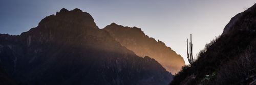 Peru Landscape Travel Photography Cactus silhouetted in Colca Canyon at sunset Peru South America