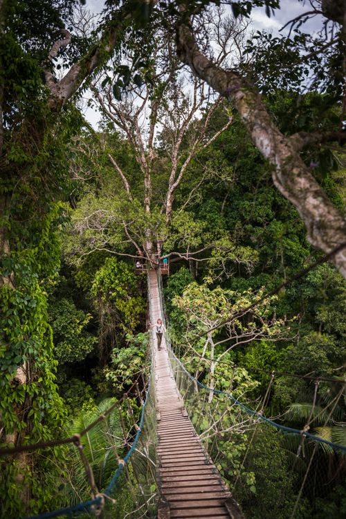 Peru Travel Photography Amazon Jungle swinging rope bridge in Puerto Maldonado area of Peru South America 2