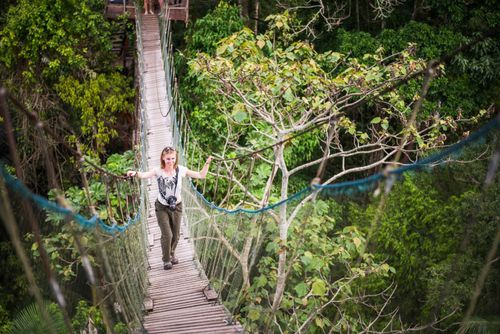 Peru Travel Photography Amazon Jungle swinging rope bridge in Puerto Maldonado area of Peru South America 3